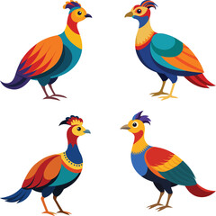 Cute and colorful vector illustration of Himalayan Monal, Vector graphics design of Himalayan monal, Decorative vector art of Himalayan monal collection