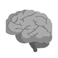 Brain flat emoji style icon representing intelligence, mental health.