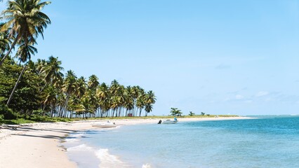 Aerial view of tropical resort: palm groves, turquoise sea and white sand coastline for luxury hotel promotions and travel agency banners​