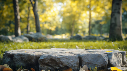 Stone platform amidst an idyllic autumn forest scene. Serene backdrop of trees and foliage, perfect for product displays or nature themes.