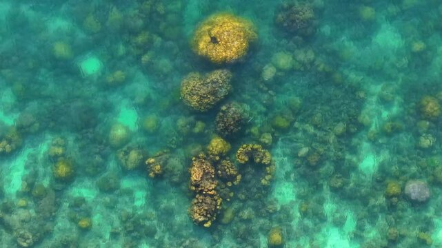 Aerial view of coral reefs in the Thai sea