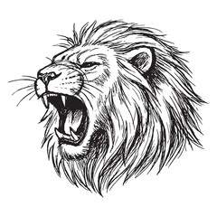 Detailed hand-drawn sketch of roaring lion head in black and white vintage engraving style. © Chairul