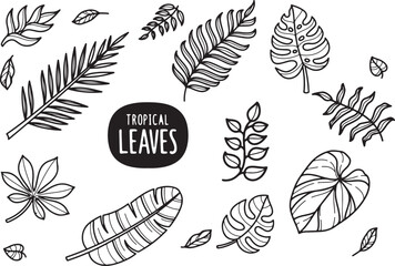 Tropical Leaves Hand-Drawn Doodle Pack – Jungle, Nature, Leaf Art, Monstera, Botanical, Exotic