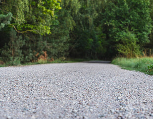 Landscape with a dirt road through the forest during a summer sunny day