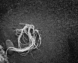 Background: Black sand with fronds of white seaweed.