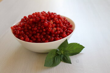 Red currant is a healthy and tasty berry that can bring significant health benefits. due to its...