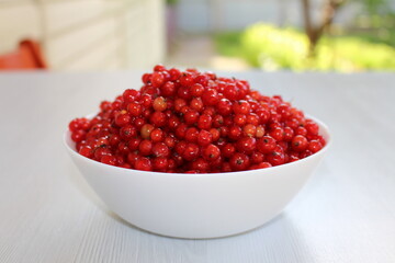 Red currant is a healthy and tasty berry that can bring significant health benefits. due to its...