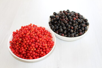 Red and black currants are two different types of berries that belong to the same genus. Both types of currants are rich in vitamins and antioxidants.