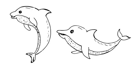 Dolphin cartoon outline hand-drawn, with two poses, children illustration.