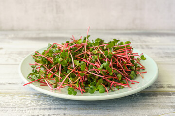 Fresh red radish microgreens on a white plate. Healthy sprout plant ingredient for vegan and...