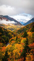 Fototapeta premium Peaceful autumn forest in mountain valley with golden leaves and fog at sunrise scenic view