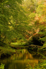 Southern Illinois Nature

