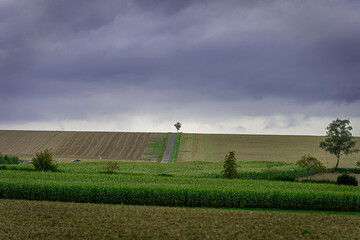 Ein einzelner Baum, am Ende eines schmalen Weges. Umgeben von Feldern, unter einem dramatischen...