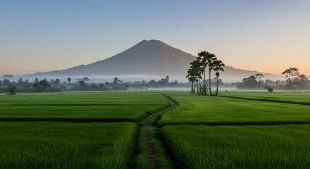 Fototapeta premium Serene Sunrise over Lush Rice Paddies and Majestic Volcano