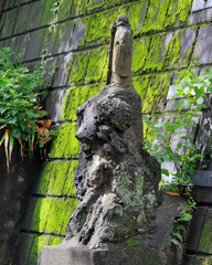 飛鳥山公園あたり　雨上がりのアジサイの頃