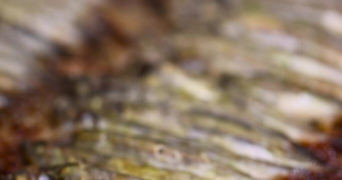 focusing on small capelin fish fried in plenty of oil, stacked in rows cooked hot capelin baked in sunflower oil in the oven