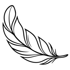 dynamisch geschwungene Feder