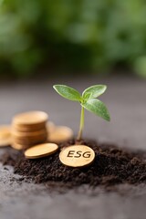 Green Plant Growing from ESG Coins in Soil, Ethical Investing Concept, ESG