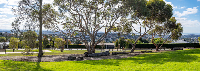 Panoramic view of a scenic elevated park or suburban green space with eucalyptus trees overlooking the cityscape of Geelong. Wandana Heights Lookout, Victoria, Australia.