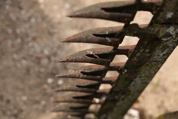 old rusty peasant tool close up