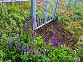 The park's beautiful lawn is protected from the entrance from the street by a low fence made of...