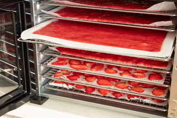 Elite Gourmet Food Dehydrator, Stainless Steel Trays Food Dehydrator, Adjustable Temperature Controls, Jerky Herbs Fruit Veggies Snacks. strawberry marshmallow and fresh strawberry slices. 