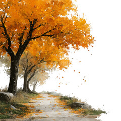 Fototapeta premium autumn trees in the park