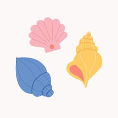 Colorful Sea Shells Group on isolated white background.Vector illustration cartoon flat style