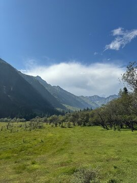A beautiful, lush green valley nestled deep within Jiuzhaigou, showcasing vibrant alpine scenery in Sichuan&rsquo;s Aba Prefecture.