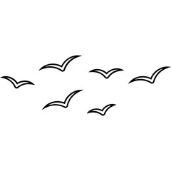 Outline Bird Group