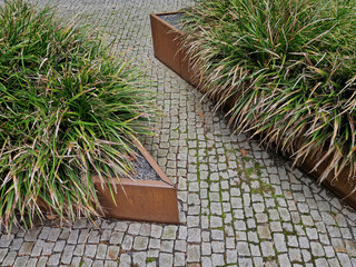 the flower bed is bordered by a rusty sheet metal design. perennials and grass bloom in the...