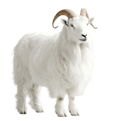 Fototapeta premium Elegant White Goat Standing Gracefully in a Natural Setting