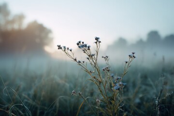 Obraz premium Cinematic close-up capturing the essence of Swedish summer