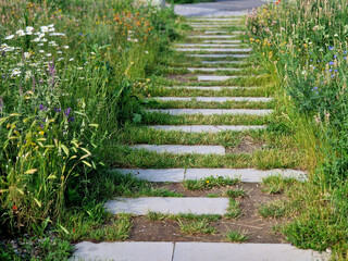 concrete path lawn pedal rectangular shape in regular grid routed directly through beautiful lawn...