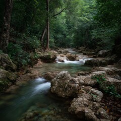 Flowing stream in lush forest nature photography hdr landscape
