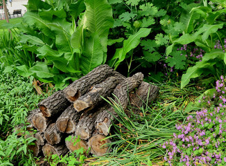 how to make an insect-friendly bug hotel that offers bees, lacewings, and solitary wasps a place to nest and spend winter, Crevices in bark, holes in dead wood, piles of fallen leaves, gaps between 