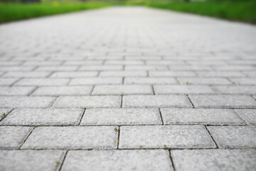 Close-Up of a Clean Paved Pathway with Green Grass on the Sides