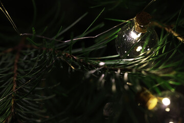 Close-up of Festive Glass Ornament on Pine Tree Branch, Illuminated by Soft Light