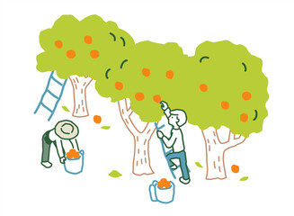 果物を収穫する人　ベクターイラスト