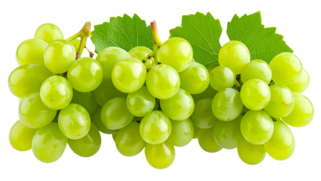 Cluster of ripe green grapes displayed separately on a transparent background showing various shapes and sizes of the fruit for culinary or graphic design use