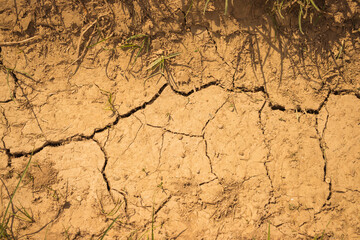 A detailed closeup image showing a cracked piece of dirt soil