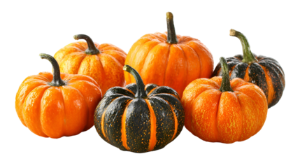 Autumn Harvest Five Colorful Pumpkins, Orange, Green, Black