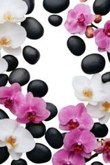 Beautiful orchids on smooth black stones create a serene and elegant composition. Png, Transparent background.