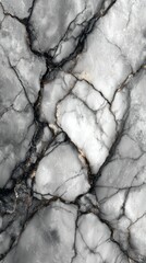 Elegant gray marble texture with striking black and white veins showcasing natural beauty and intricate patterns