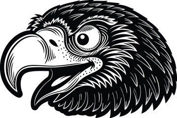 Majestic black and white eagle head shows intricate feather details in captivating closeup