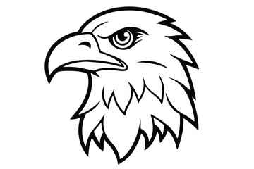 Detailed black and white line drawing captures an eagle's fierce and striking head