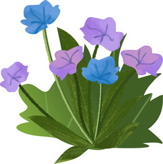 Cluster of Blue and Purple Flowers