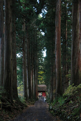Fototapeta premium The approach path for Togakushi jinja shrine 