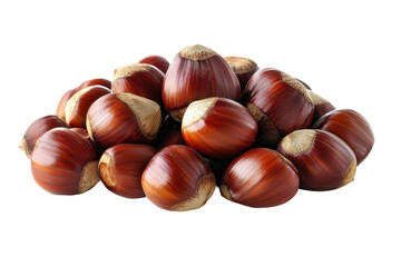 Heap of glossy chestnuts gathered on a clean white backdrop ready for cooking or roasting during the autumn harvest season
