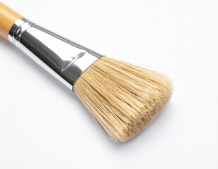 paint brushes on white background